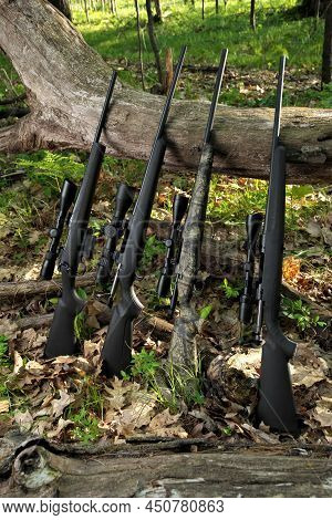 Four Hunting Rifles With Scope Optics Leaning Against A Fallen Tree