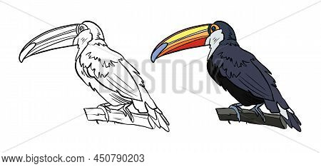 Illustration For A Coloring Book In Color And Black And White. Drawing Of A Toucan Bird On A White I