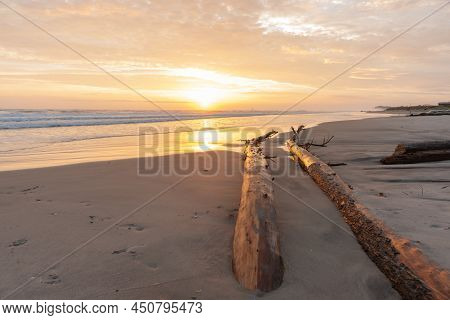 Golden Hour Sunrise Over Waihi Beach, Driftwood Logs Leading Towards Sun Glow.