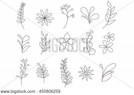 Botanical Arts Set. Hand Drawning Line Of Abstract Flower, Floral, Braanch. Plant Collection Herbal 