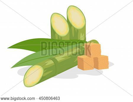 Sugar Cane And Brown Sugar Isolate On A White Background. Sugarcane Superfood. Stem With Leaves And 
