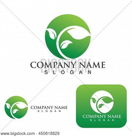 Logos Of Green Tree Leaf Ecology Template Vector Logo
