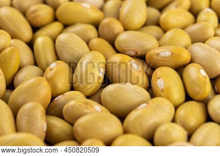 Raw Canary (peruvian) Yellow Beans. Dry Peruano Legumes