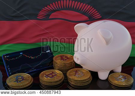 Bitcoin And Cryptocurrency Investing. Malawi Flag In Background. Piggy Bank, The Of Saving Concept. 