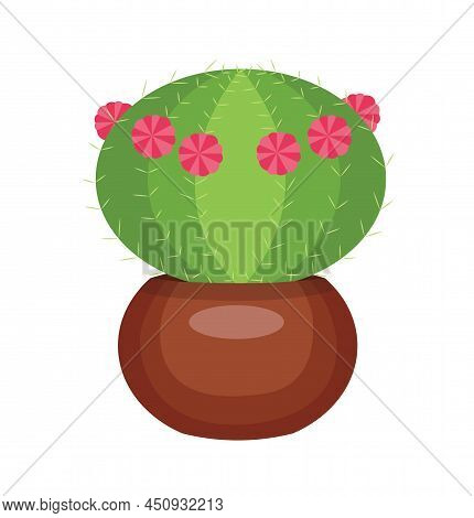 Cactus In A Pot. Vector Stock Illustration Isolated On White Background.