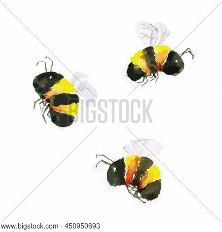 Watercolor Painting Of Three Cute Bumblebees On A White Background, Vector Illustration