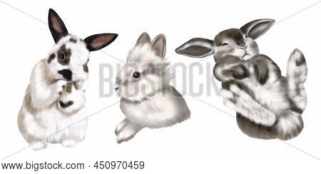 Set Realistic Bunnies Image & Photo (Free Trial) | Bigstock