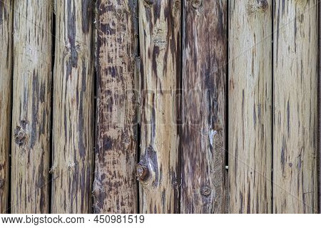 Environment Concepts. Wooden Background Made Of Pine And Spruce Trees Logs Heaped Together In Line.