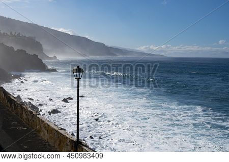 View On Black Lava Rocks And Atlantic Ocean In Small Village Punta Brava Near Puerto De La Cruz, Ten