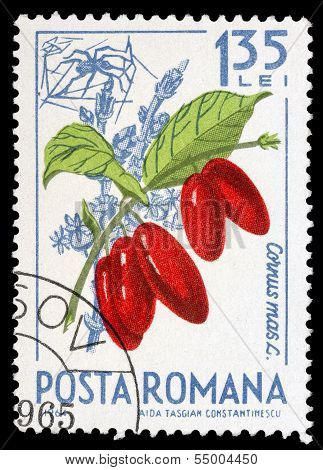 Romanian Post Stamp