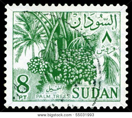 Vintage  Postage Stamp. Palm Trees.