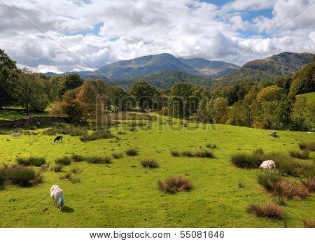 Loughrigg Fell, Cumbria