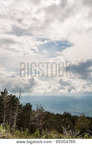 Landscape Of A Mountain Forest With Trees Broken By Wind In Front