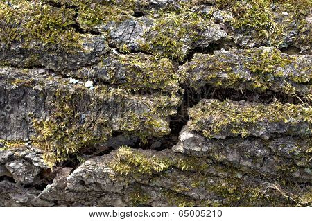 Moss Bark Pebbles