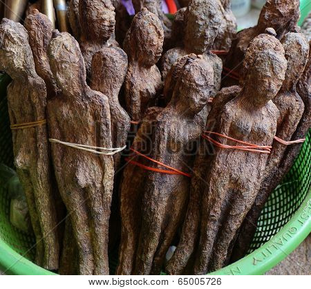 Freaky Fruit,tree Bearing Fruits In The Shape Of Women And Man