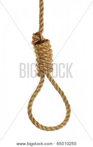 Rope noose isolated over white background. Hangman's noose.