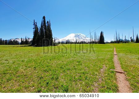 Hiking Trail. Mt Rainer, Washington
