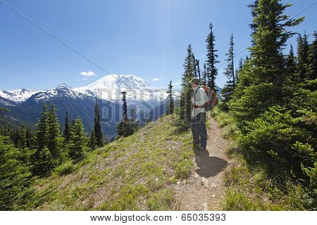 Enjoying The Scenic View. Hiking Trail. Mt Rainer, Washington