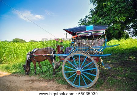 The horse carriage in Bagan, Myanmar