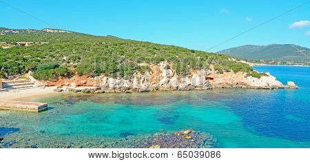 Green And White Shore