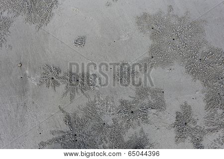 footprints In The Sand