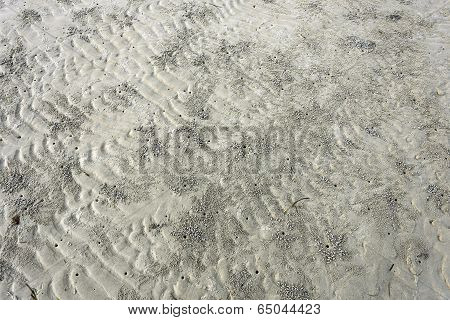 footprints In The Sand