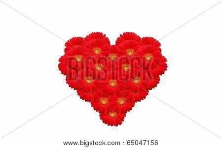 heart of flowers