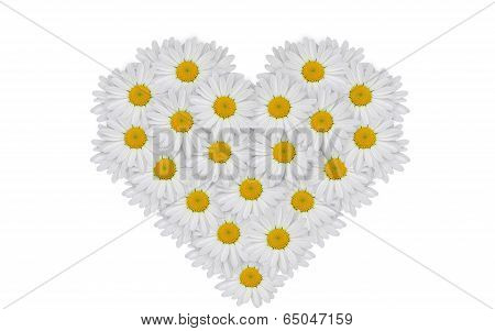 heart of flowers