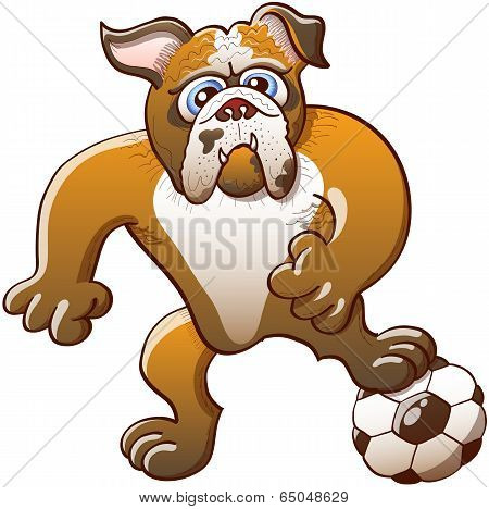 Strong bulldog preparing to free kick a soccer ball