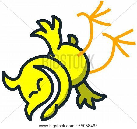 Cool chicken laughing while falling down