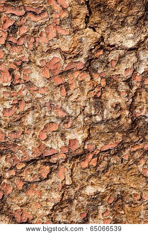 Cracky Wooden Surface.