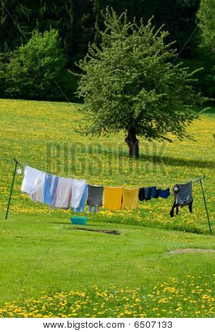 Clothesline in a Spring Field