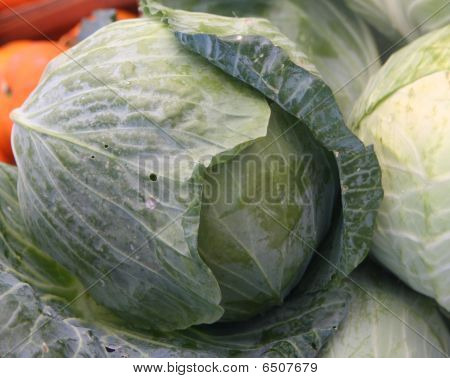 Cabbage