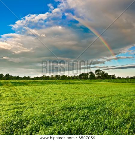Arcobaleno sopra la foresta