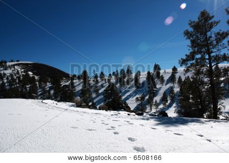 Steps on the Snow