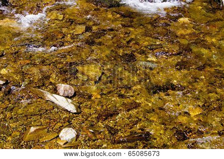 Golden stream detail