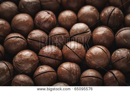 Macadamia Nuts