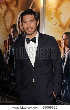 LOS ANGELES - AUG 12:  Godfrey Gao at the 