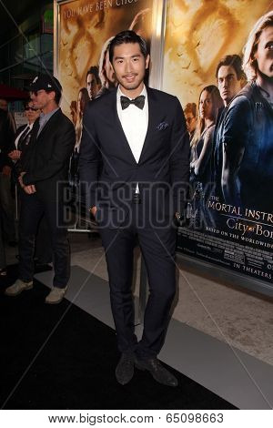 LOS ANGELES - AUG 12:  Godfrey Gao at the 