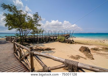 Zanzibar Prison Island Beach