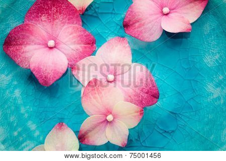 Bowl of water with pink hortensia petals