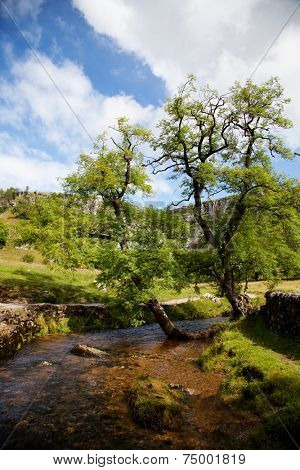 Beautiful landscape in Yorkshire Dales National Park in England