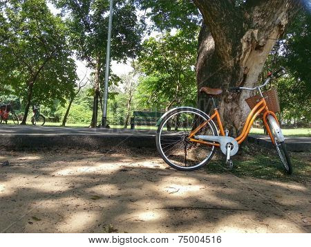 Bicycle in park H.D.R.
