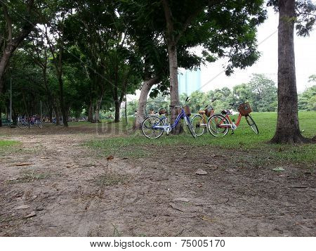 Bicycle in park