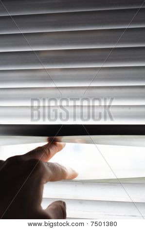 Observation