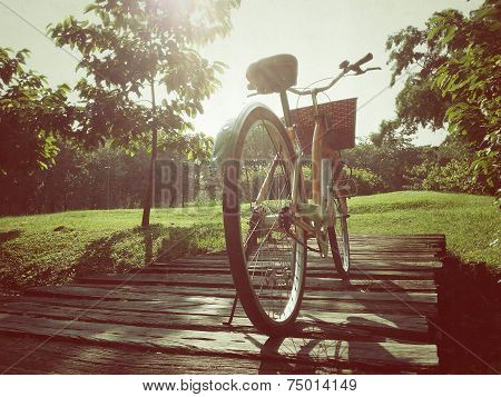 Bicycle in park plus effects