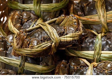 Freshness hairy crabs