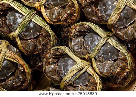 Freshness hairy crabs