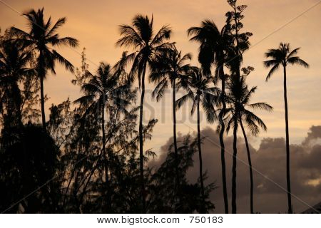 IslandSunset