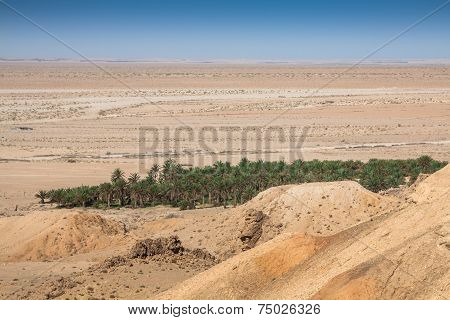 Mountain Oasis Tamerza In Tunisia Near The Border With Algeria.